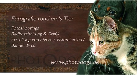 Photodogs.de