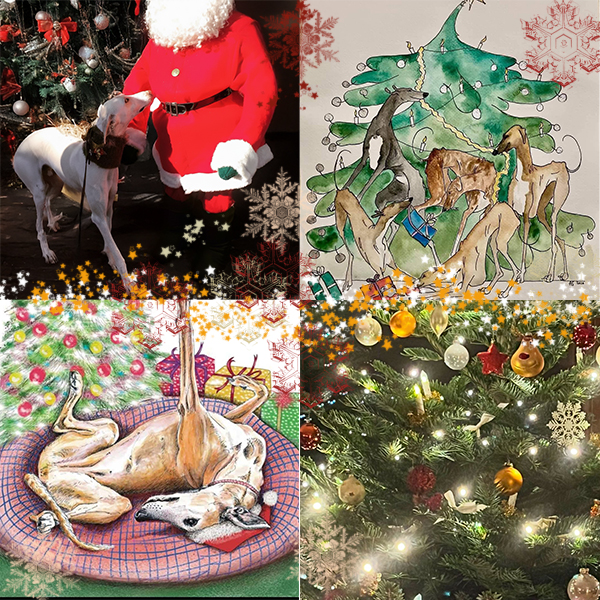 Eine wundersch&ouml;ne Adventszeit und Frohe Weihnachten